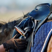 The importance of equestrian equipment care